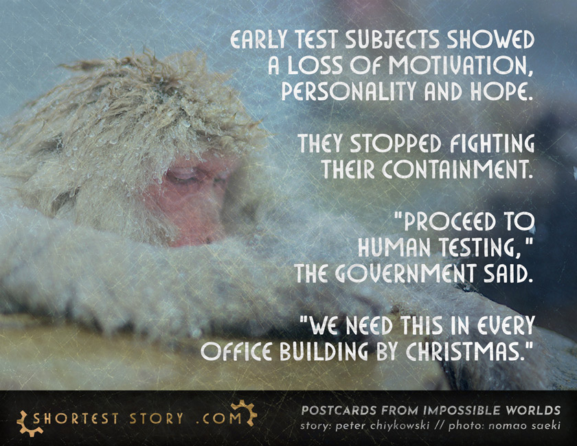 a short story about animal testing and office holidays