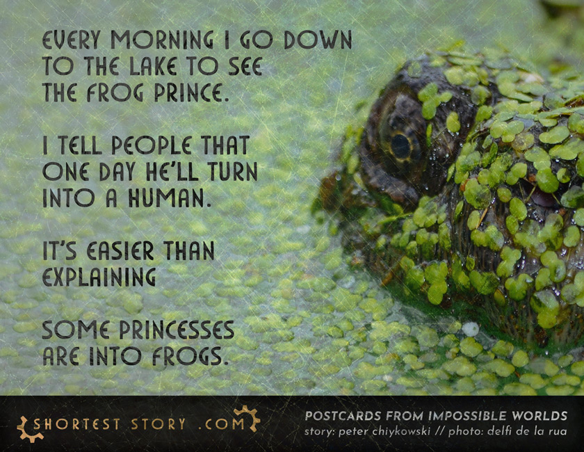 a short story about freaky princesses and frog princes