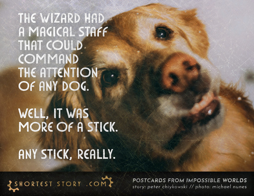 a short story about a magical staff with the power to command dogs