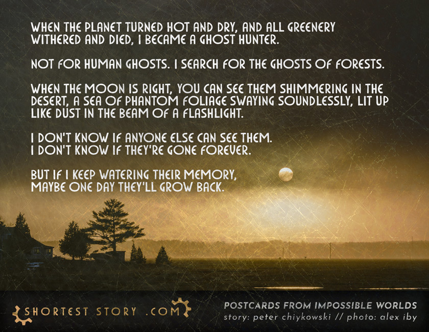 a postcard story about the ghosts that remain after forests die